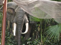 /album/photo-gallery-photo-gallery-portpholio/a3033611100-8c18e24807-m-jpg/