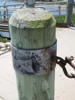 /album/photo-gallery-photo-gallery-portpholio/img-1628-1-jpg/