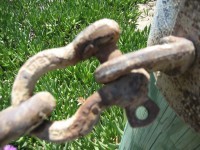 /album/photo-gallery-photo-gallery-portpholio/img-1634-1-jpg/