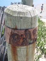 /album/photo-gallery-photo-gallery-portpholio/img-1704-1-jpg/